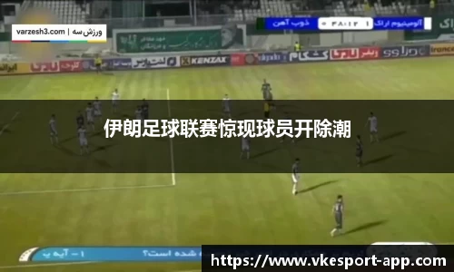 威客电竞官方网站